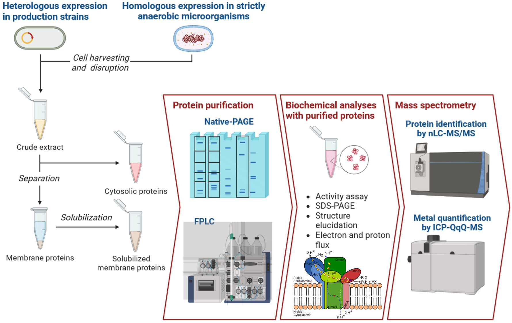 Genereller Arbeitsworkflow